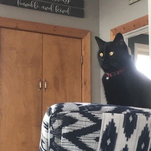 Meet your Posher, Kendra